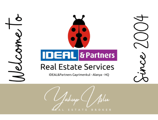 IDEAL and Partners