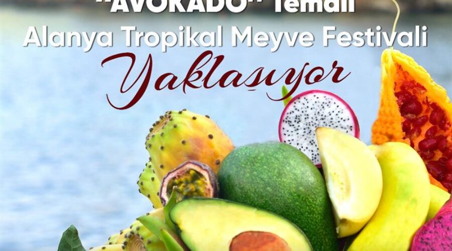 Exotic fruits fair in Alanya