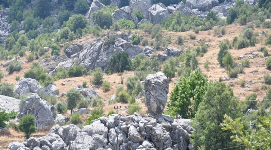 Amazing Nature in Alanya