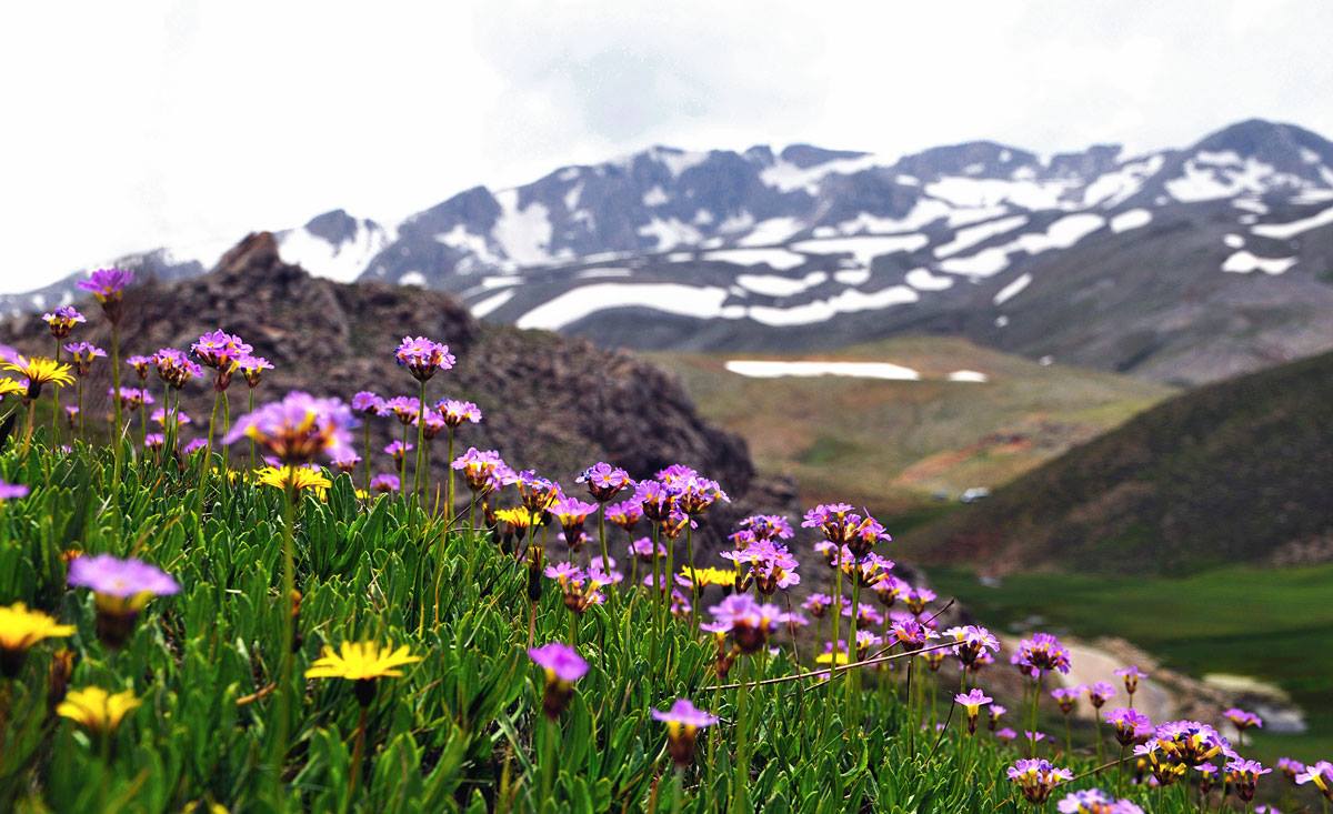 Photo By Lawyer Fatih Kısa, Eğri Göl