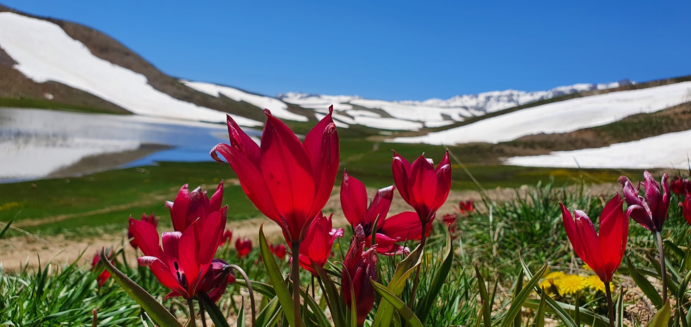 Photo By Halil Toksöz, Eğri Göl