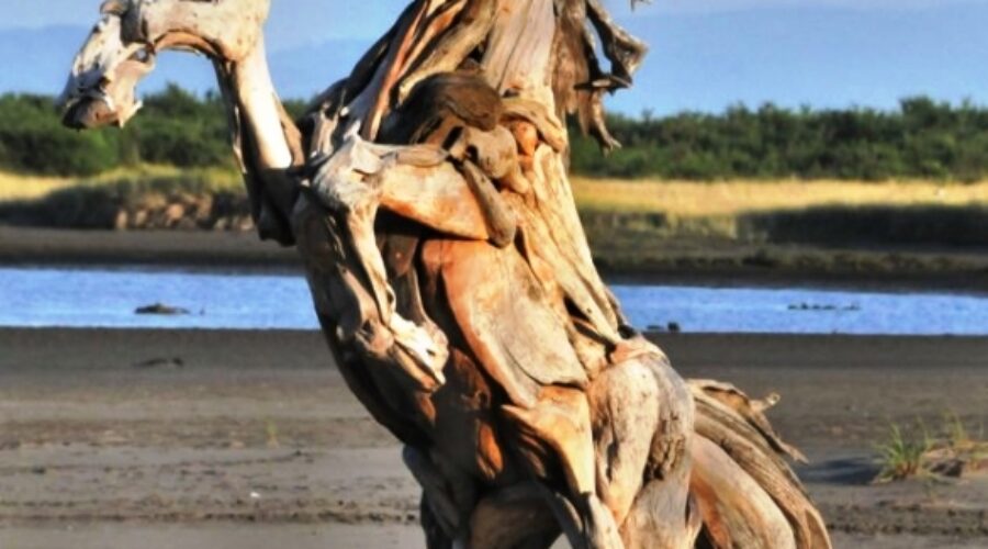 13. International Alanya wood scupture smyposium