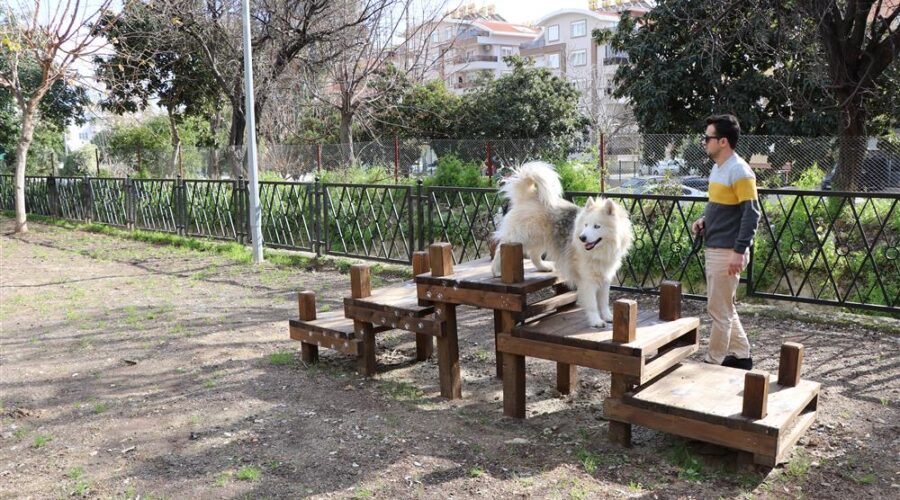 The first dog park in Alanya