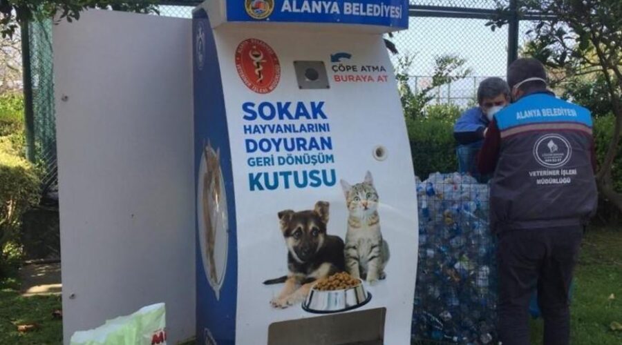 New feeding units for street animals