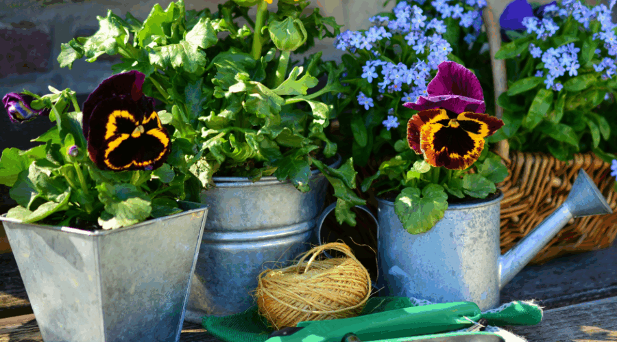 The best balcony and garden in Alanya