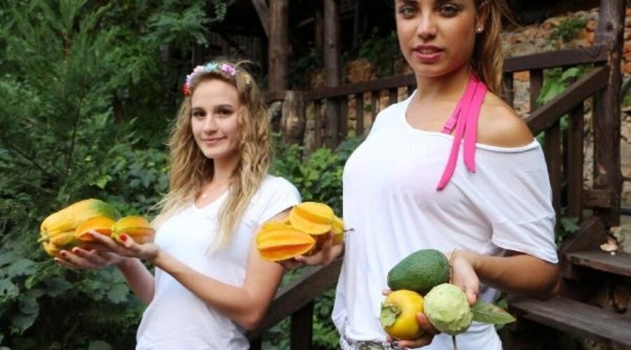 Tropical fruits in Alanya